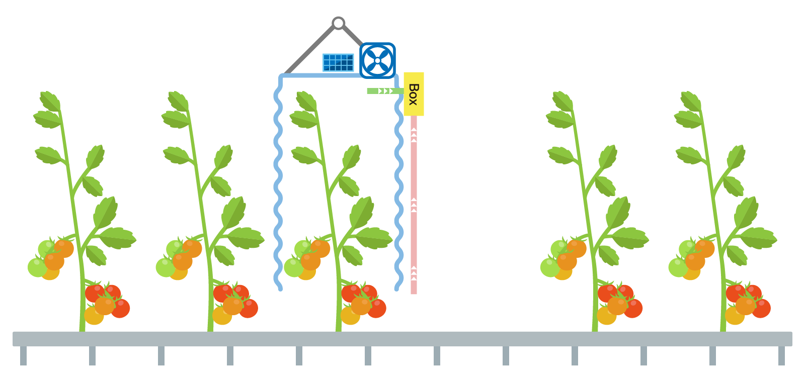 リアルタイム計測を行っている写真