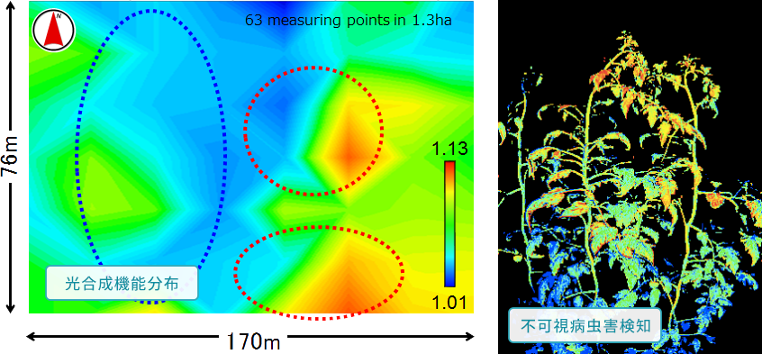 不可視ストレスの早期検知写真