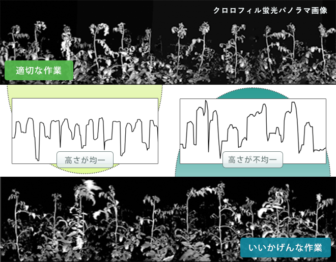 つる下ろし・ずらし作業の評価 イメージ図