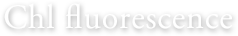 Chl fluorescence