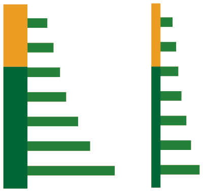 生育スケルトン