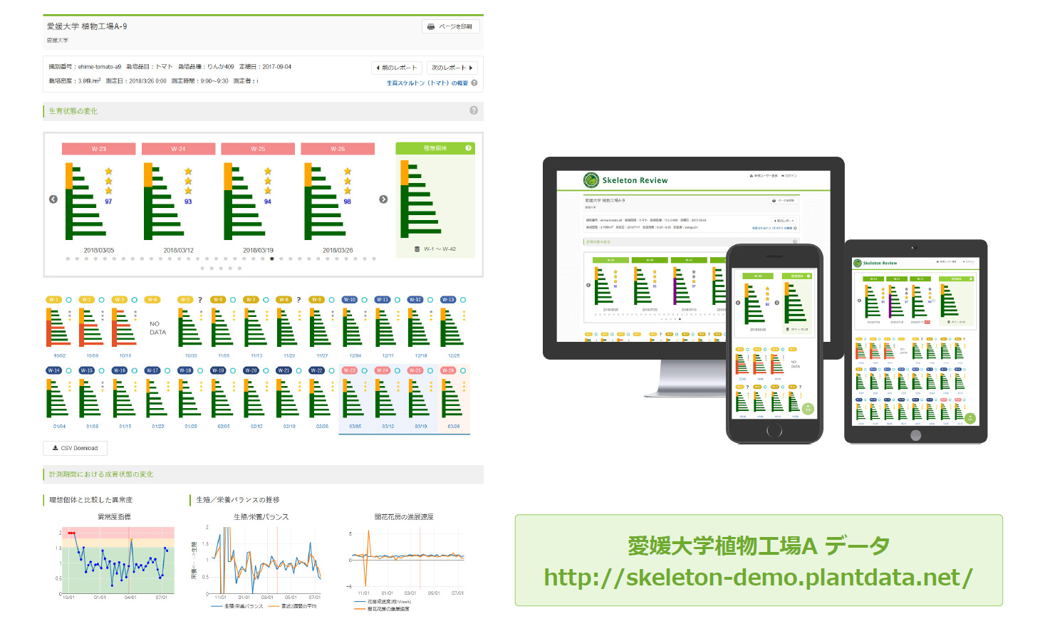 生育レポートの例