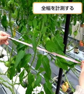 全幅を計測する